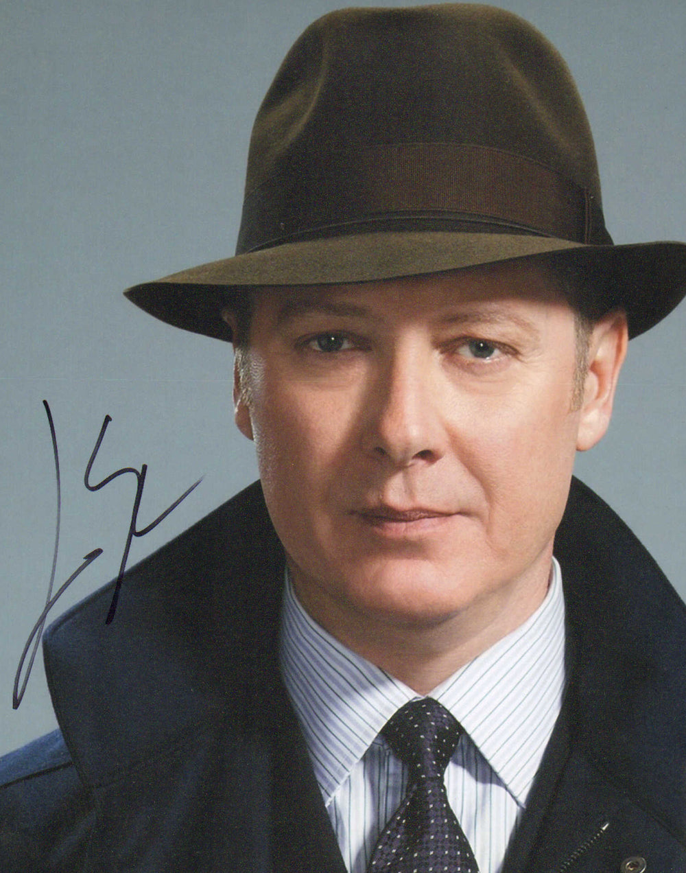 James Spader as Raymond 