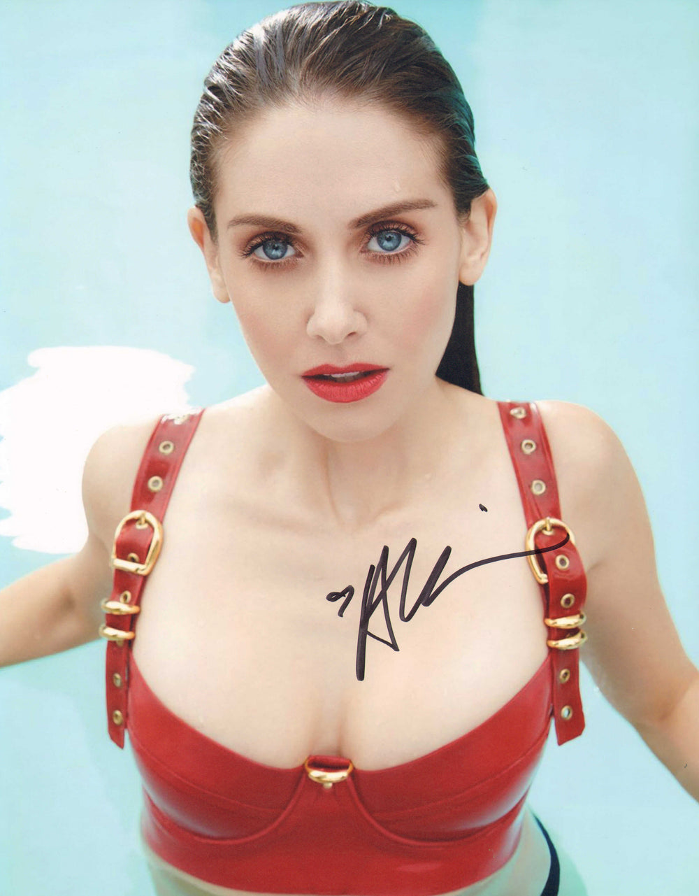 Alison Brie from Mad Men, Community, GLOW, & BoJack Horseman Sexy Signed 11x14 Photo