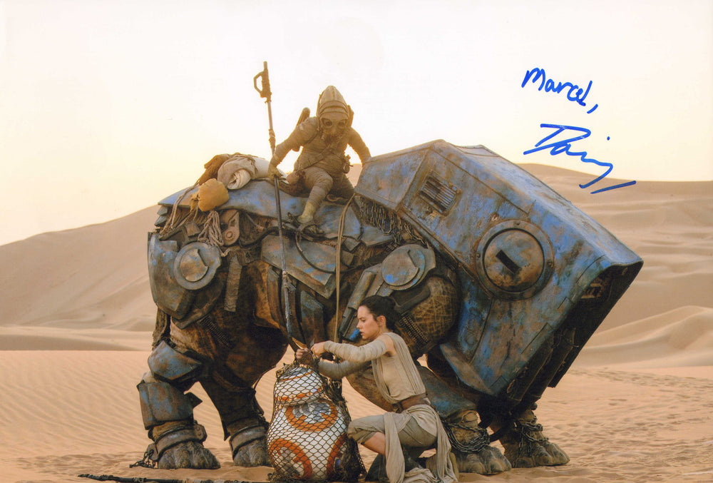 Daisy Ridley as Rey in Star Wars: The Force Awakens Signed 8x12 Photo
