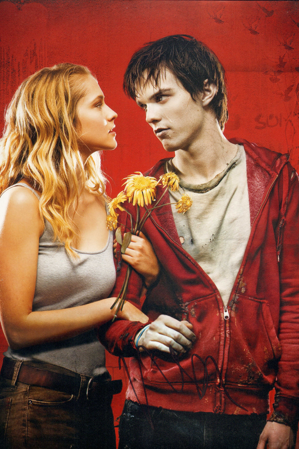 Nicholas Hoult as R in Warm Bodies Signed 8x12 Photo