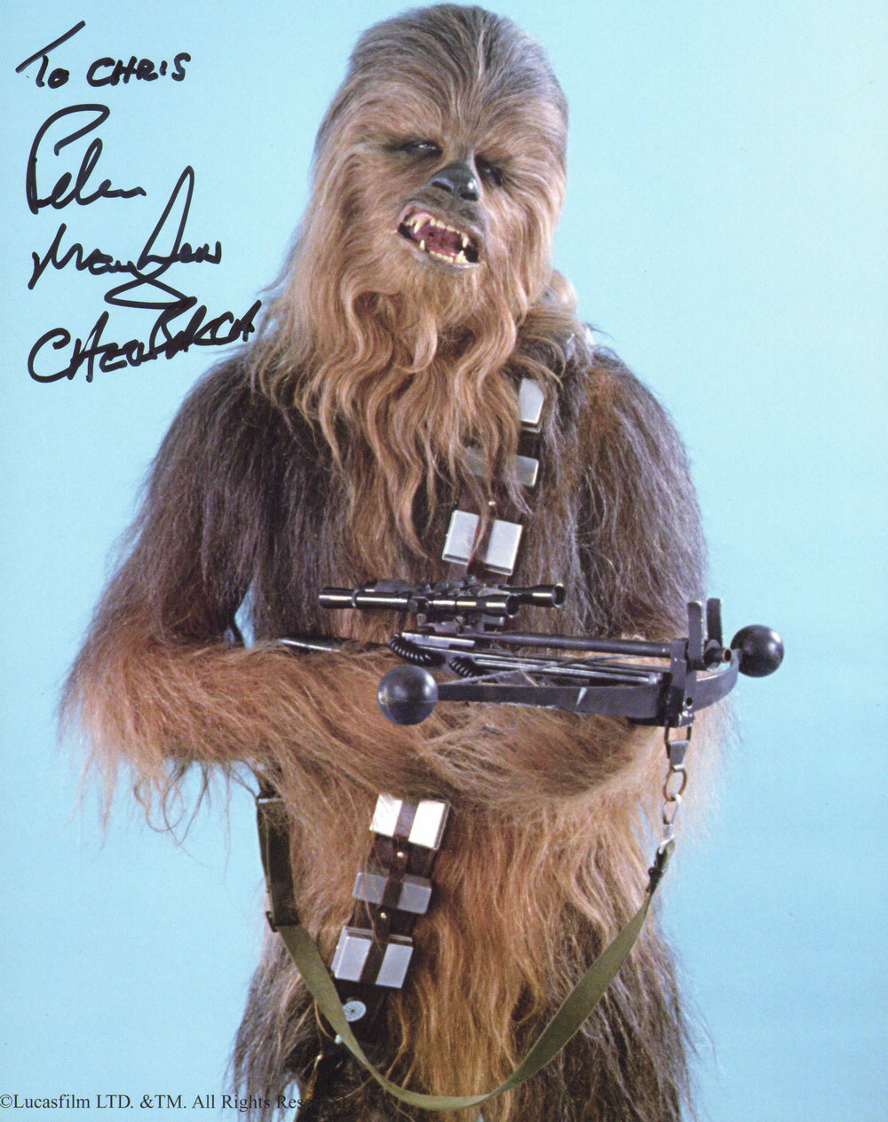 Peter Mayhew as Chewbacca in Star Wars: The Empire Strikes Back Signed 8x10 Photo with Character Name