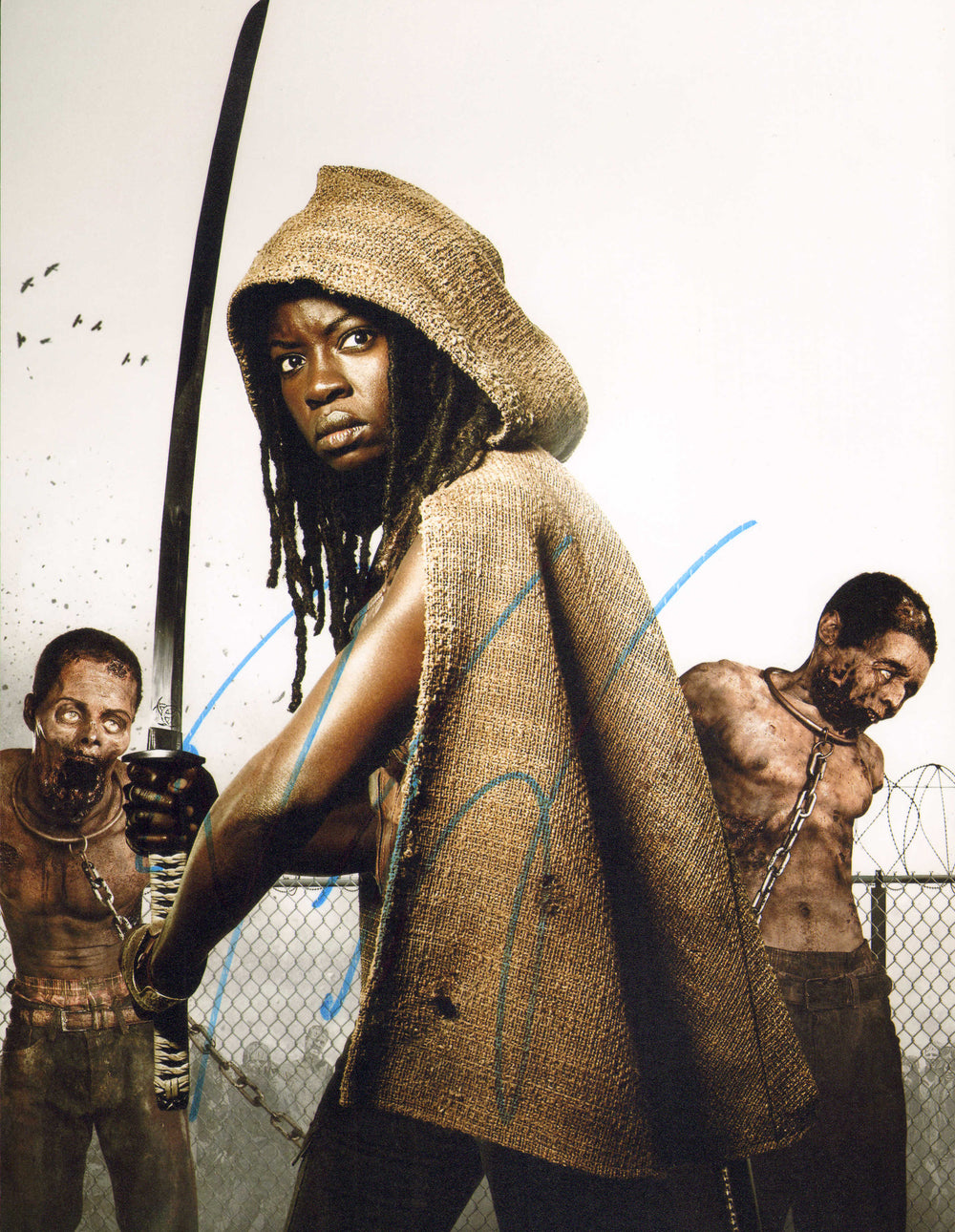 Danai Gurira as Michonne Hawthorne vs. Zombies in The Walking Dead Signed 8x12 Photo