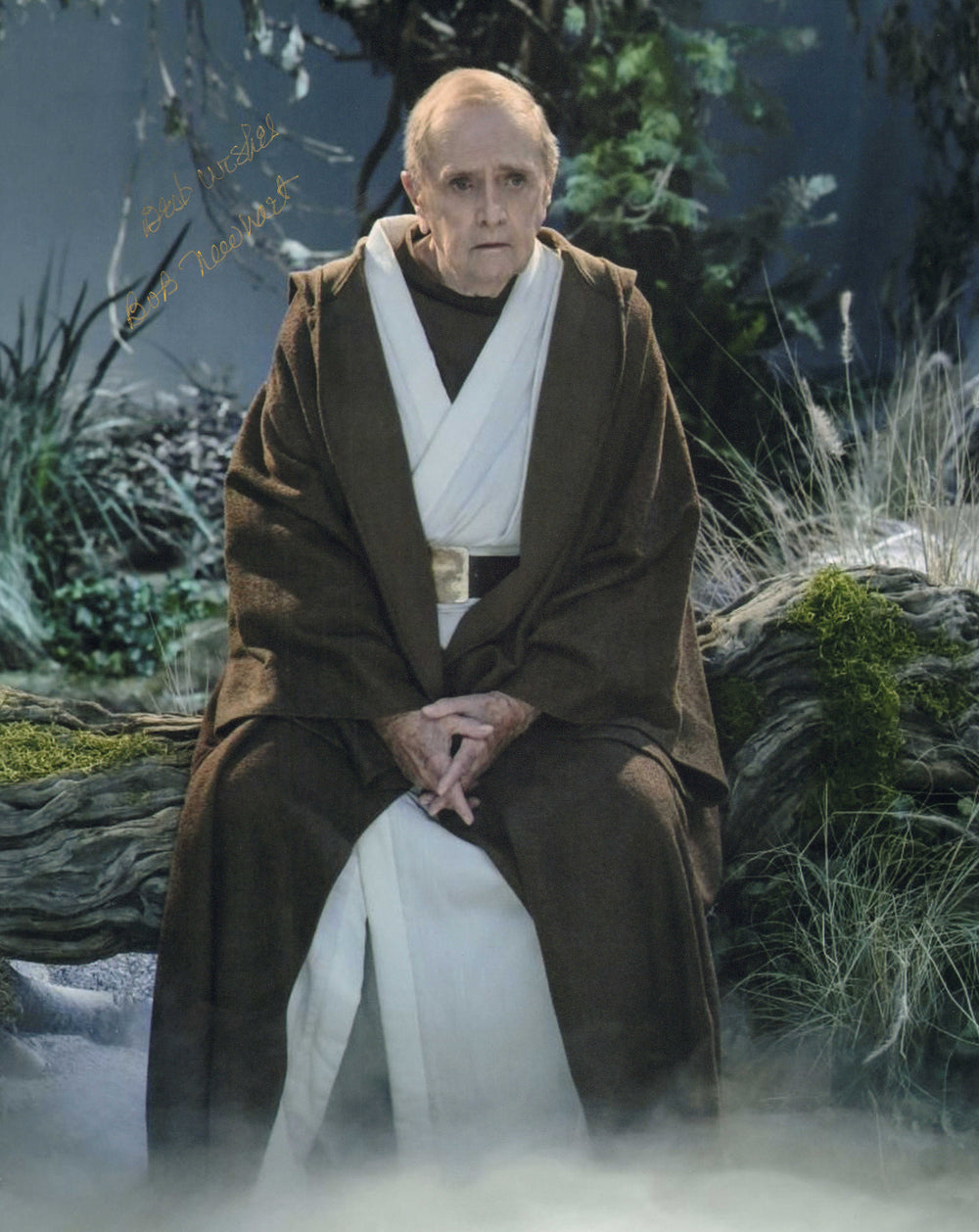Bob Newhart as Arthur Jeffries / Professor Proton in The Big Bang Theory Signed 11x14 Photo