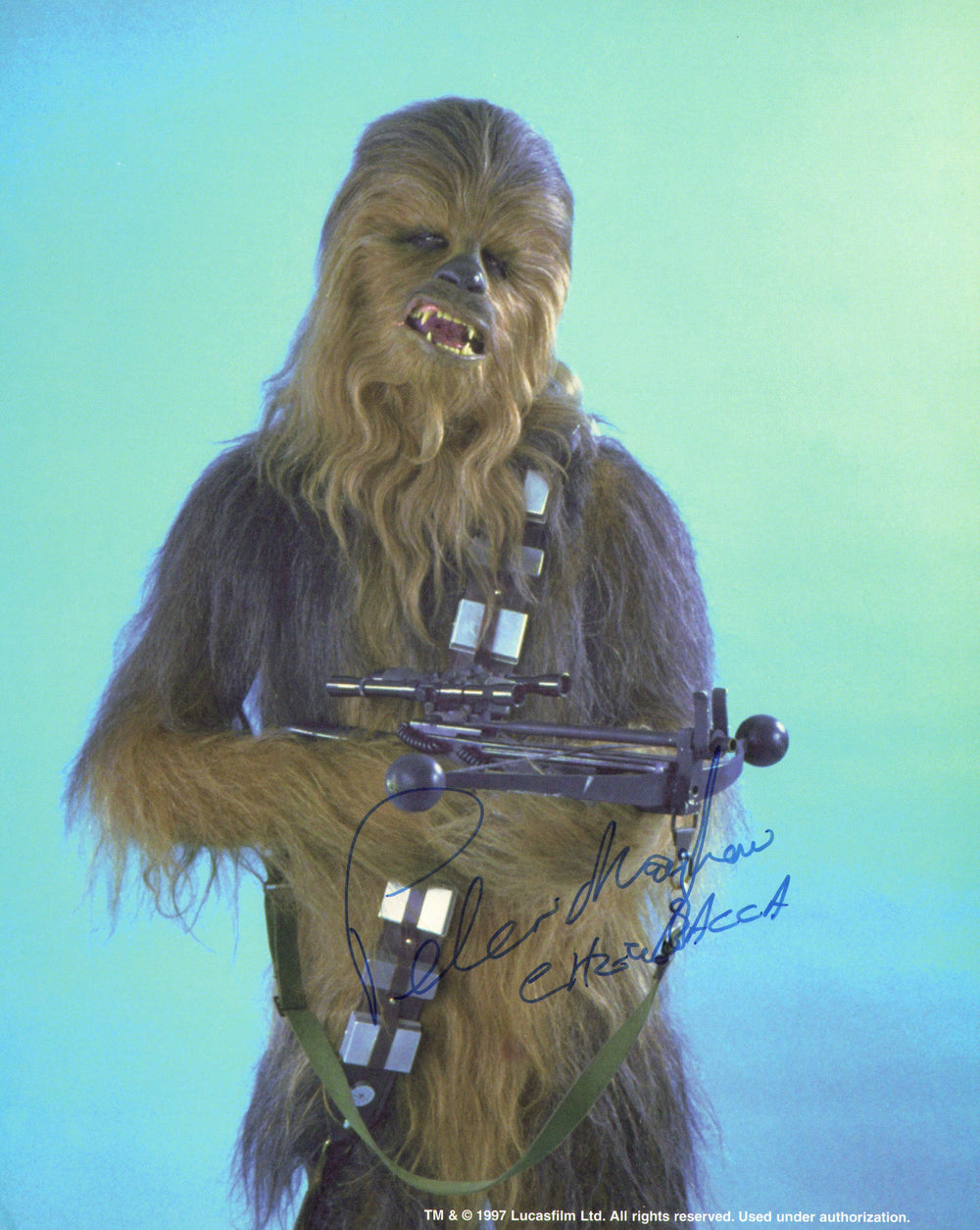 Peter Mayhew as Chewbacca in Star Wars: The Empire Strikes Back Signed 8x10 Photo with Character Name