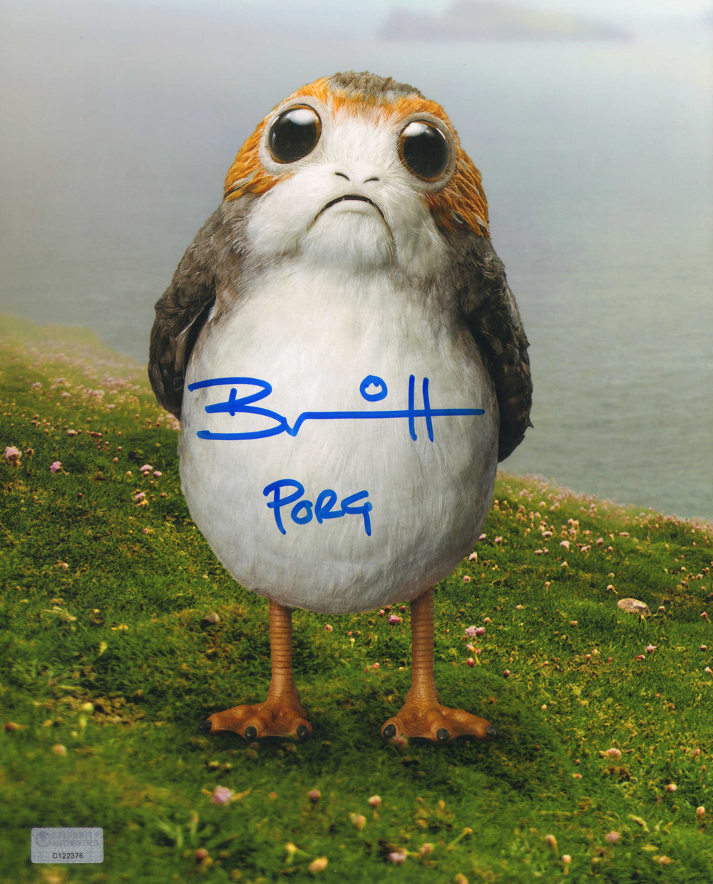 Brian Herring as a Porg in Star Wars: The Last Jedi (Celebrity Authentics) Signed 8x10 Photo with Character Name