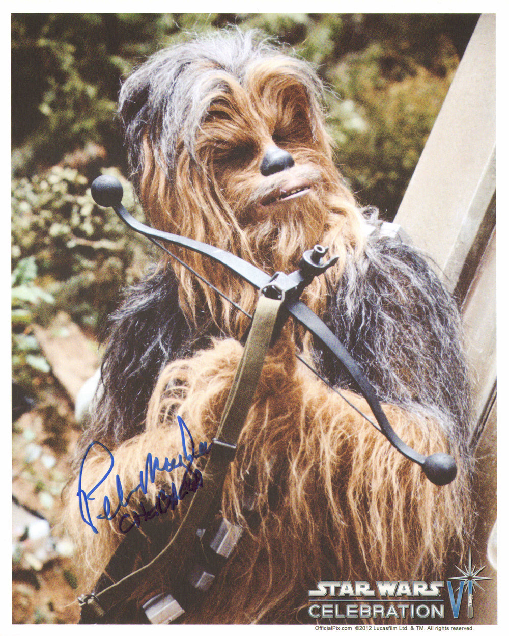 Peter Mayhew as Chewbacca in Star Wars: Return of the Jedi (SWAU / Official Pix Celebration VI) Signed 8x10 Photo with Character Name