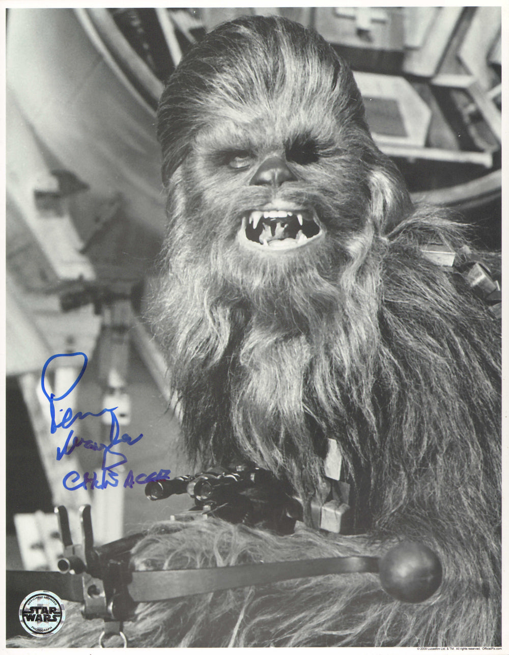 Peter Mayhew as Chewbacca in Star Wars: A New Hope (Official Pix) Signed 11x14 Photo with Character Name