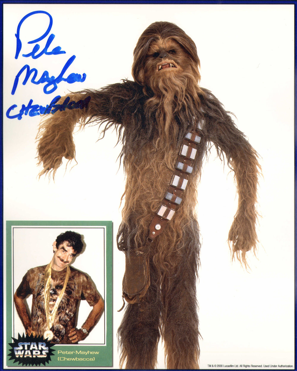 Peter Mayhew as Chewbacca in Star Wars Signed 8x10 Photo with Character Name