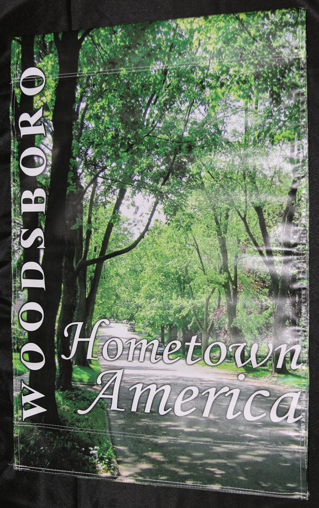 
                  
                    Scream 4 Woodsboro Hometown America Street Banner Movie Prop - 2011
                  
                