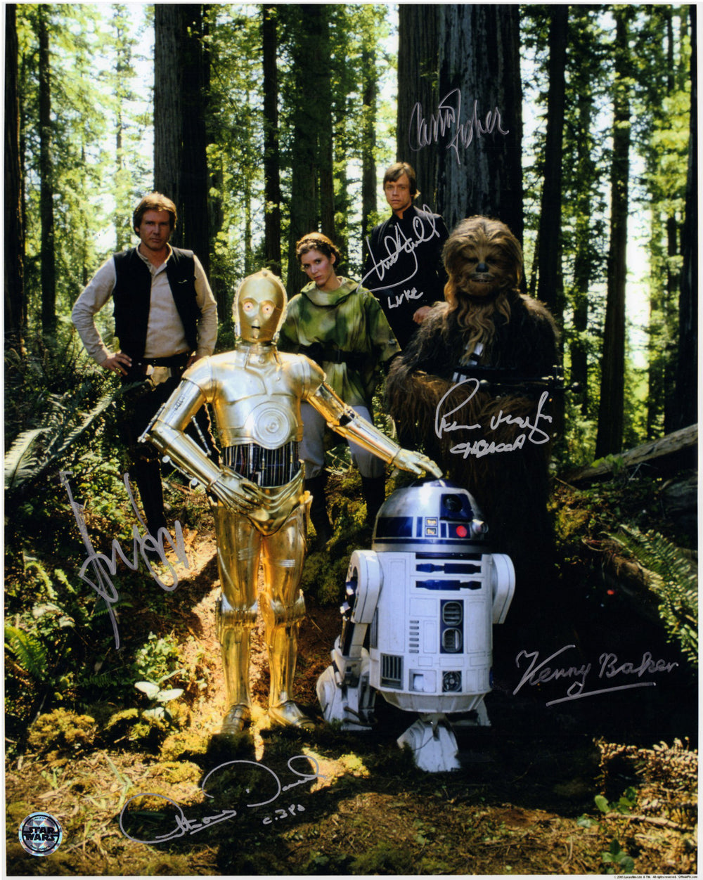 Star Wars: Return of the Jedi (Official Pix / Beckett) 16x20 Photo Cast Signed by Harrison Ford, Carrie Fisher, Mark Hamill, Peter Mayhew, Kenny Baker, & Anthony Daniels with Character Names