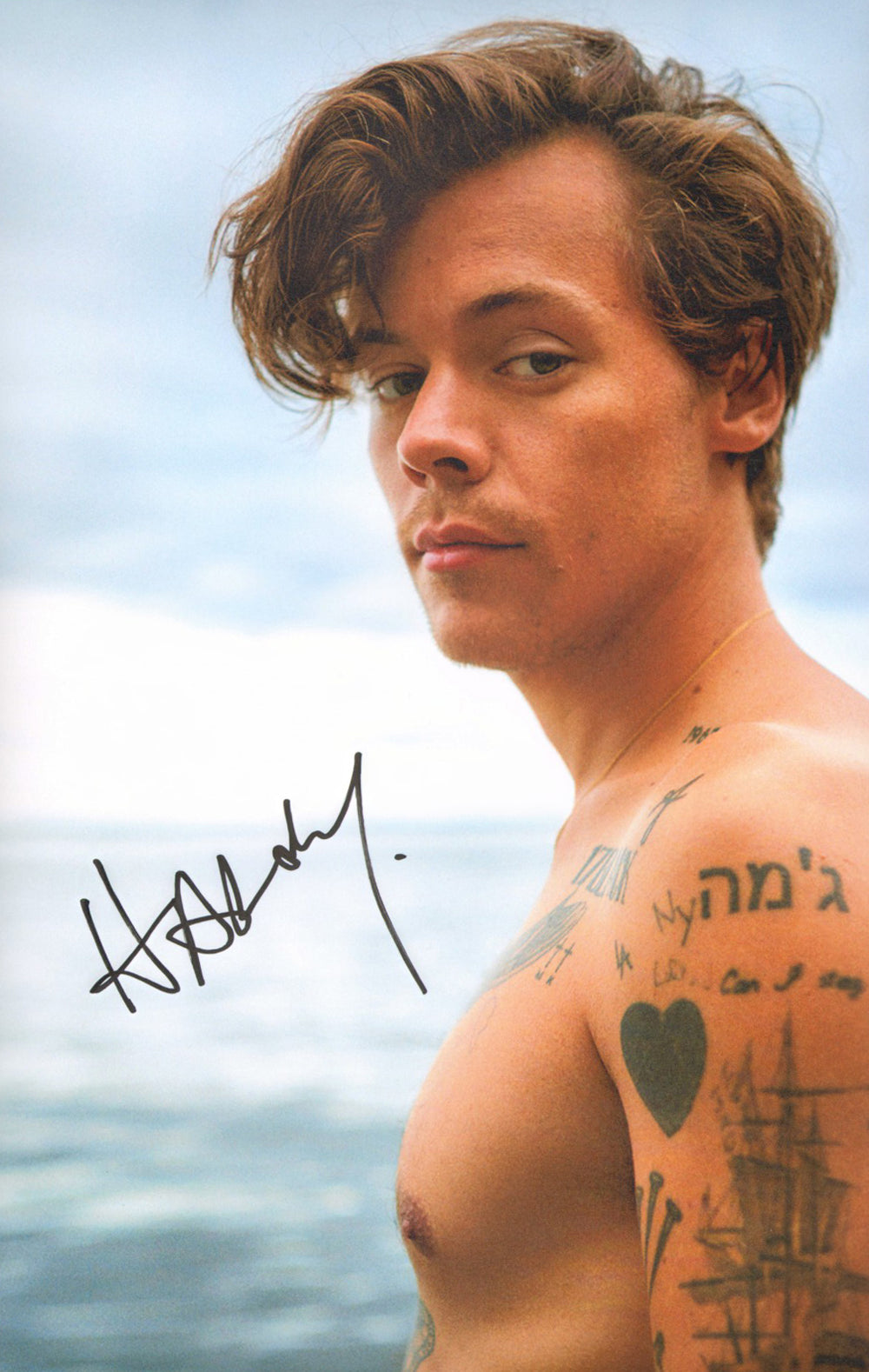 Harry Styles Singer & Actor Sexy Signed 11x17 Photo