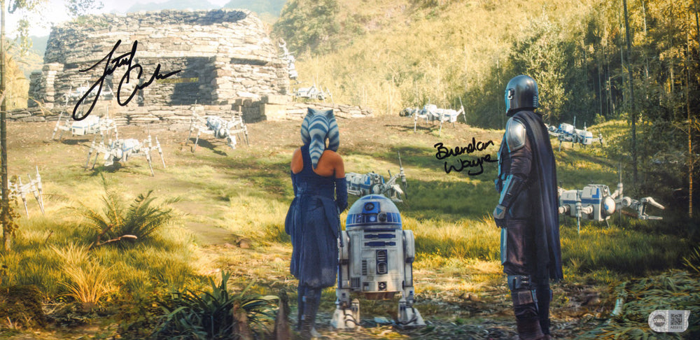 Brendan Wayne & Lateef Crowder as the Mandalorian in Star Wars:  The Book of Boba Fett (SWAU) Signed 10x20 Photo