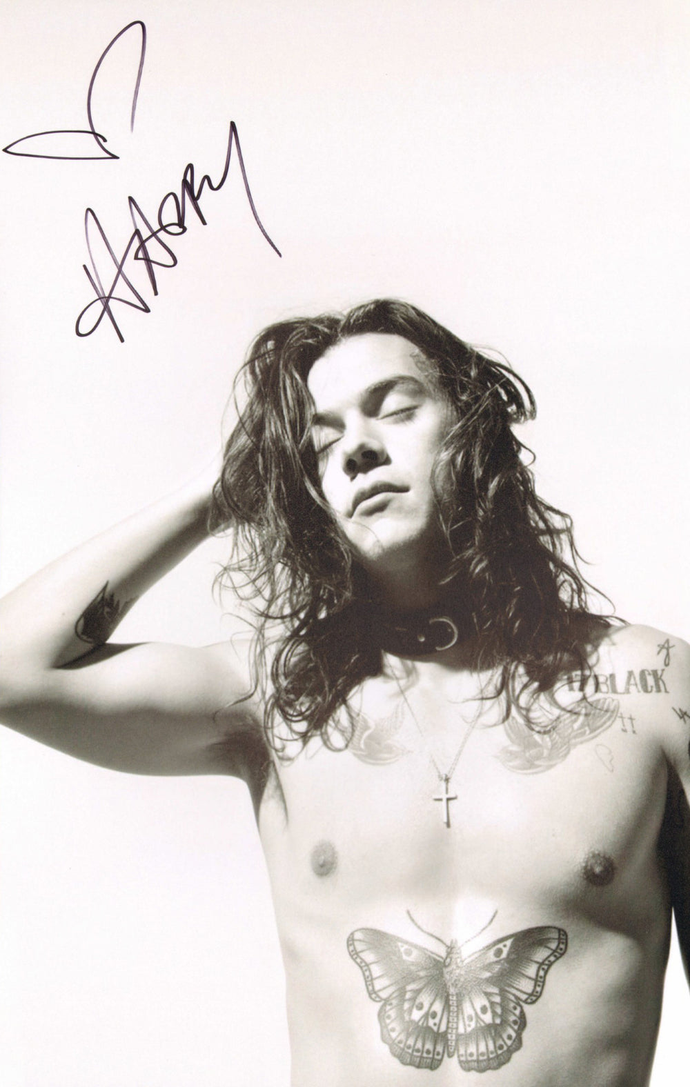 Harry Styles Singer & Actor Sexy Signed 11x17 Photo
