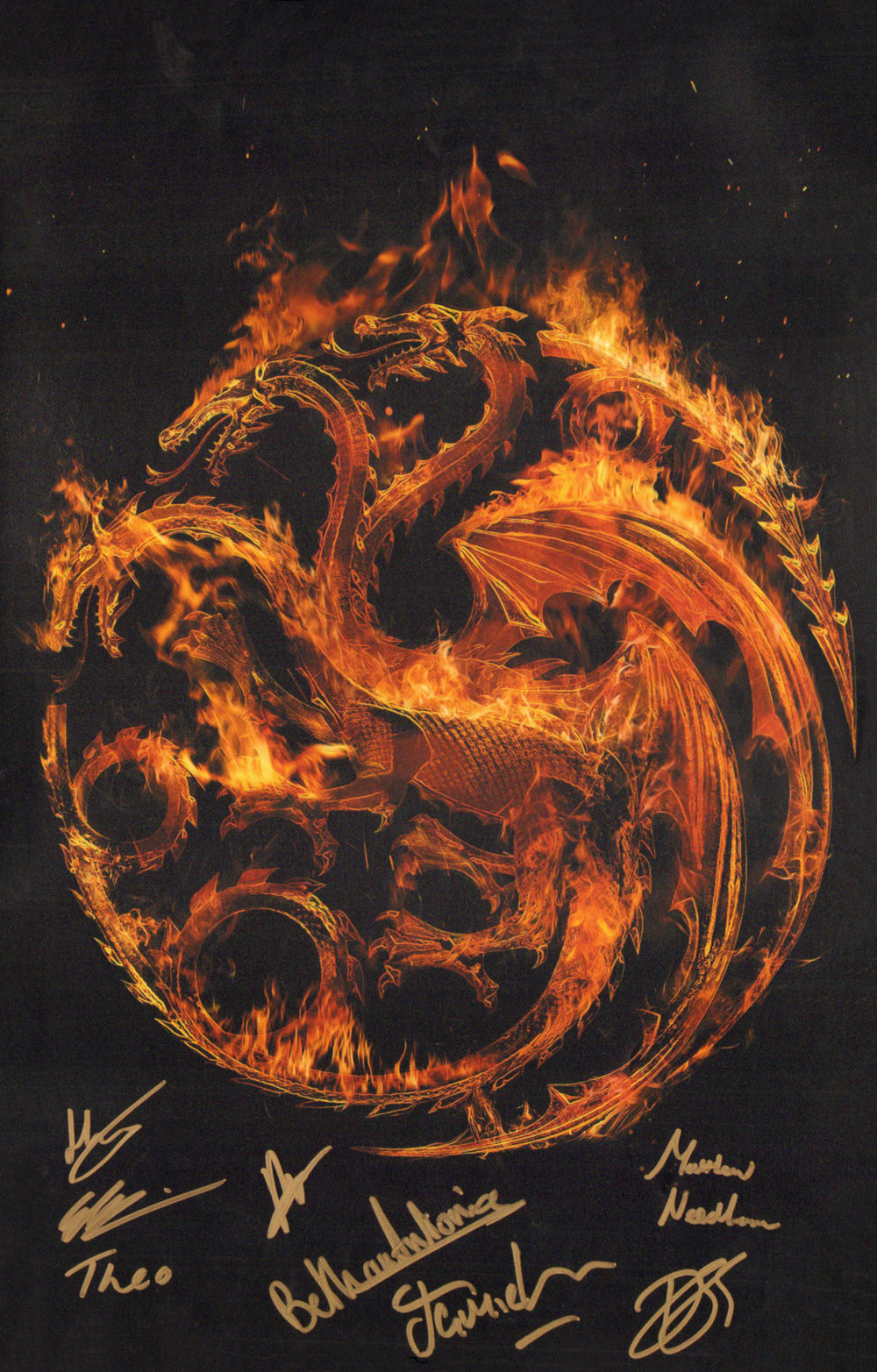 House of the Dragon 11x17 Mini Poster Cast Signed by Bethany Antonia, Jamie Kenna, Daniel Scott-Smith, Theo Nate, Harrry Collett, Elliot Glihault, Matthew Needham, & Phoebe Campbell