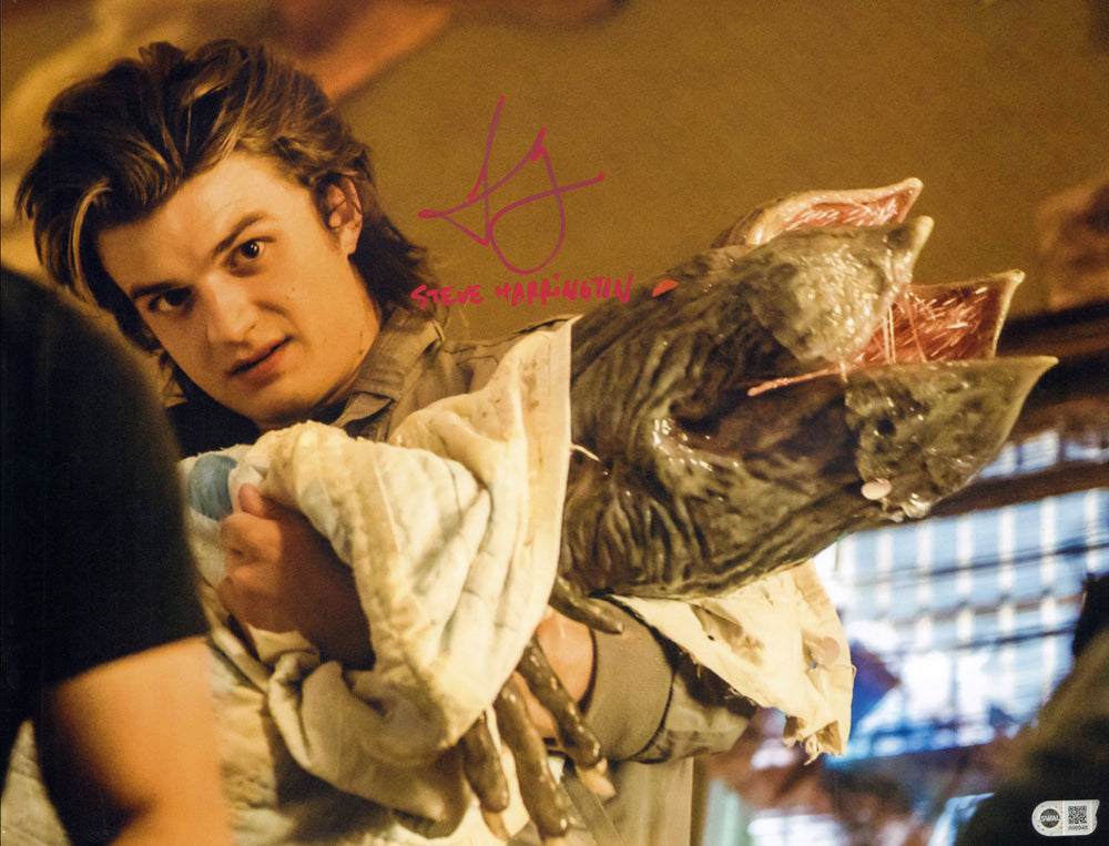 Joe Keery as Steve Harrington in Stranger Things (SWAU) Signed 16x20 Photo with Character Name