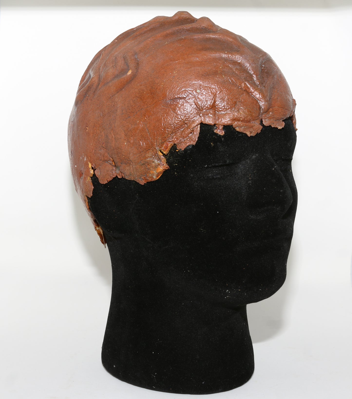 
                  
                    Star Trek: The Undiscovered Country Klingon Production Used Prosthetic Headpiece - 1991
                  
                