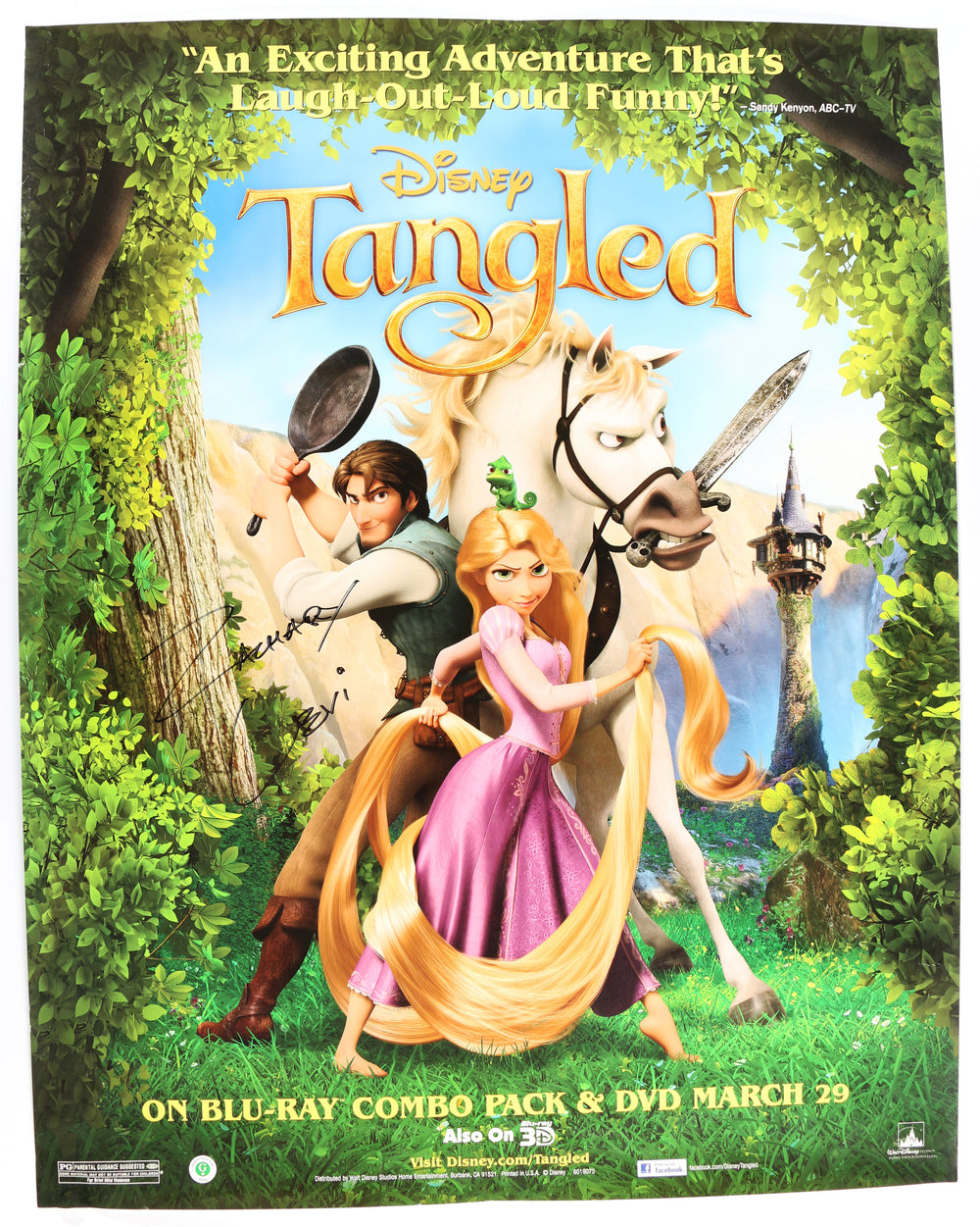 Zachary Levi as Flynn Rider / Eugene Fitzherbert in Disney's Tangled Signed 22x28 Poster