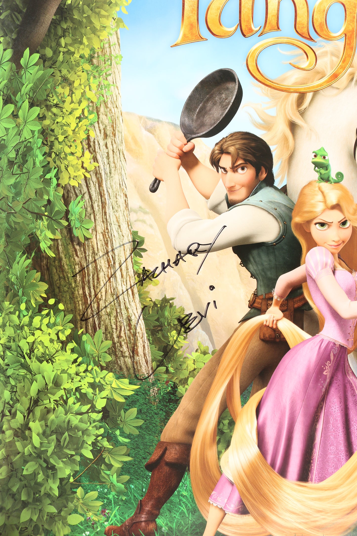 
                  
                    Zachary Levi as Flynn Rider / Eugene Fitzherbert in Disney's Tangled Signed 22x28 Poster
                  
                